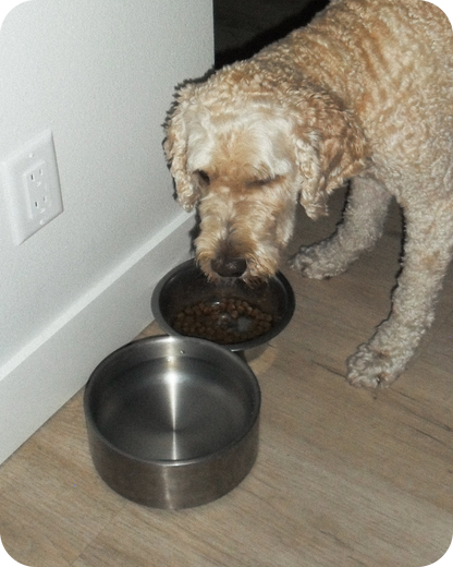 CALM ORGANICS PET BOWL