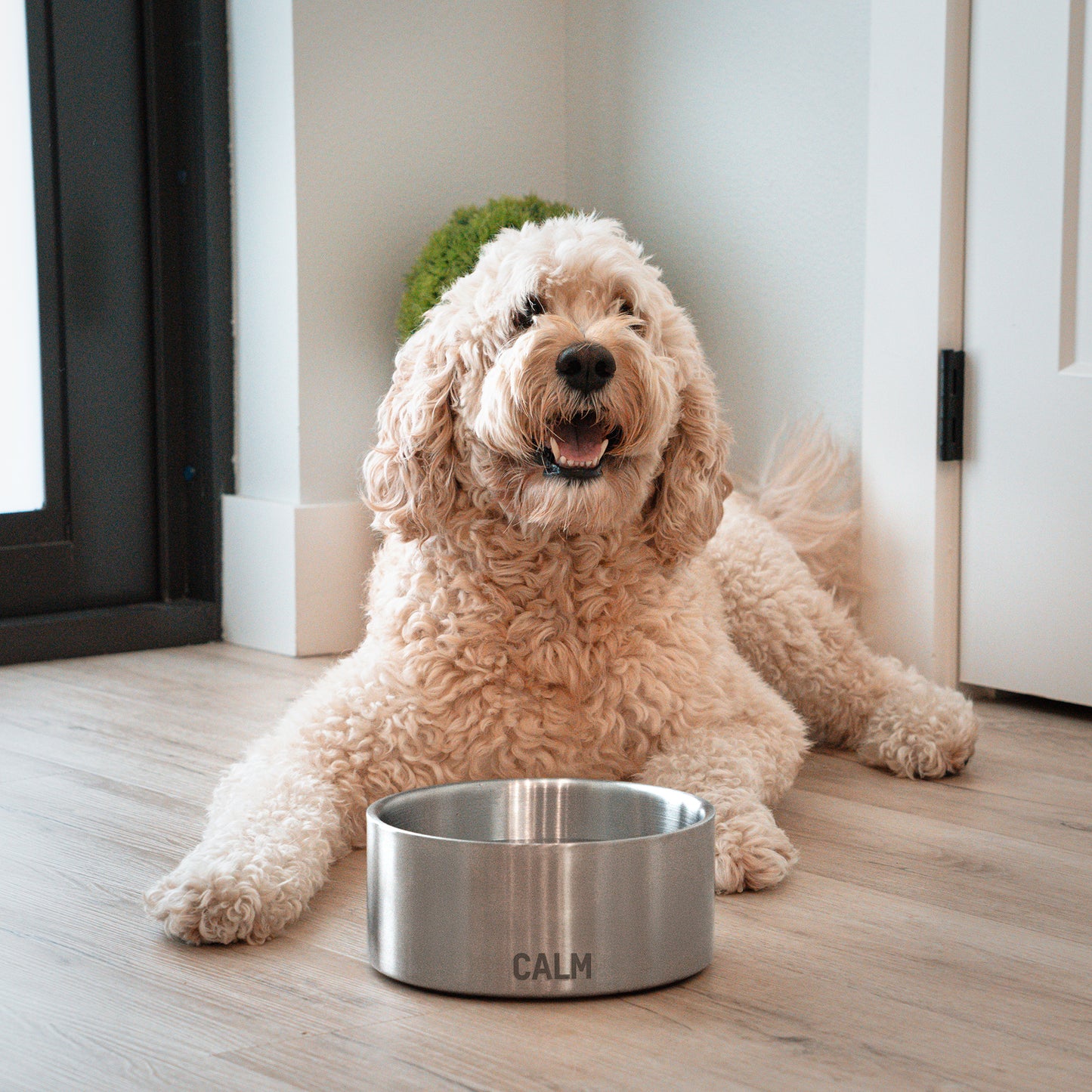 CALM ORGANICS PET BOWL